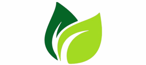 Cropped cropped dffaf4b4 4c33 411d 896a 4b5eeff06e0d removebg preview.png